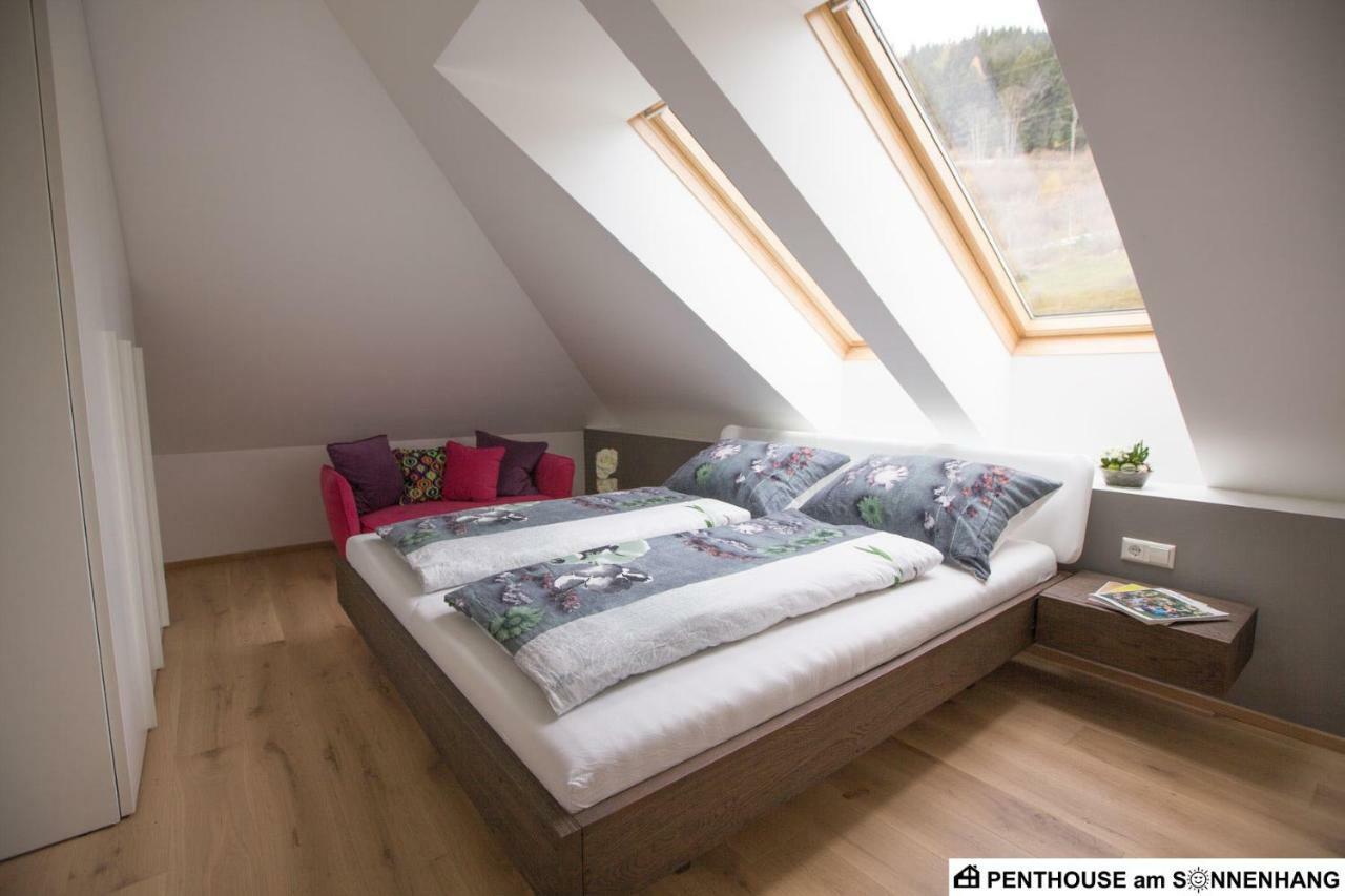 Penthouse Am Sonnenhang Mit Exklusiver Ausstattung Schladming Exterior photo